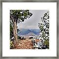 Grand Canyon Through The Trees Framed Print