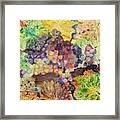 Grapes And Leaves Ii Framed Print