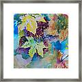 Grapes And Leaves Framed Print