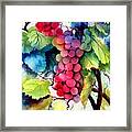 Grapes Framed Print