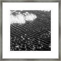 Grass And Water And Lilly Pads Bw2 Framed Print