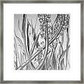 Grass Sketch Framed Print