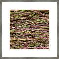 Grassy Abstract #2 Framed Print