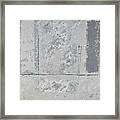 Gray Matters 2 Framed Print