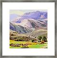 Grazing In The Salmon River Mountains Framed Print
