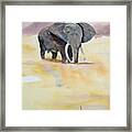 Great African Elephant Framed Print