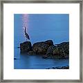 Great Blue Heron At English Bay Framed Print