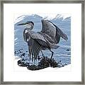 Great Blue Heron On Cape Cod Canal 2 Framed Print
