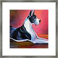 Great Dane Painting Svetlana Novikova Framed Print