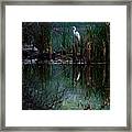 Great Egret In Central Park I Framed Print