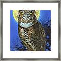 Great Horned Owl 2 Framed Print