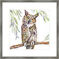 Great Horned Owl Framed Print