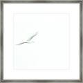 Great White Egret Impressionistic Style Framed Print
