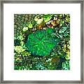 Green Artichoke Coral Framed Print