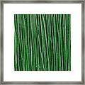 Green Bamboo Framed Print