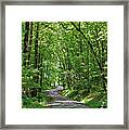 Green Beauty In The Cove Framed Print