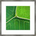Green Geometric Nature With Lines Aerial View Framed Print