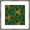 Green Kaleidoscope Framed Print