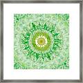 Green Mandala- Abstract Art By Linda Woods Framed Print