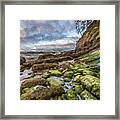 Green Stone Shore Ii Framed Print