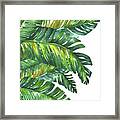 Green Tropic Framed Print