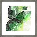 Green Tropical Framed Print