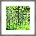 Greens Framed Print