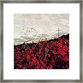 Grey And Red Framed Print