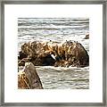 Grey Water At Window Rock Framed Print