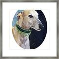 Greyhound 606 Framed Print
