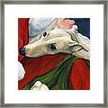 Greyhound And Santa Framed Print