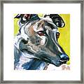 Greyhound Framed Print