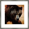 Grizzly Bear Framed Print