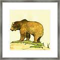 Grizzly bear watercolor painting Framed Print