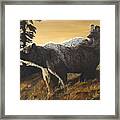 Grizzly With Cub Framed Print