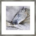 Grooming Framed Print