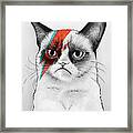 Grumpy Cat As David Bowie Framed Print