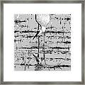 Grus Canadensis 2 Framed Print