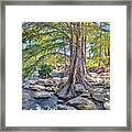 Guadalupe River Framed Print