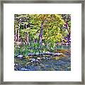 Guadalupe River, Texas Hill Country Framed Print