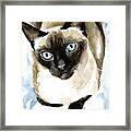 Guardian Angel - Siamese Cat Portrait Framed Print
