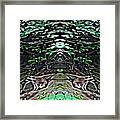 Guardians Of The Raccoons Framed Print