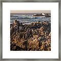 Guardians Of The Shore Framed Print