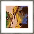 Guiness Green And Bella Blue Framed Print