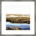 Gulf Coast Florida Marshes I Framed Print