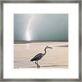 Gulf Port Storm Framed Print