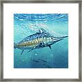 Gulf Stream Framed Print