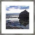 Gulls With Clouds Framed Print