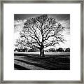 Hagley Tree Landscape Framed Print