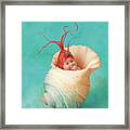 Halle As A Baby Shrimp Framed Print
